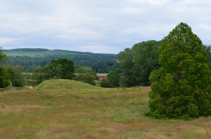 Schwimmteich